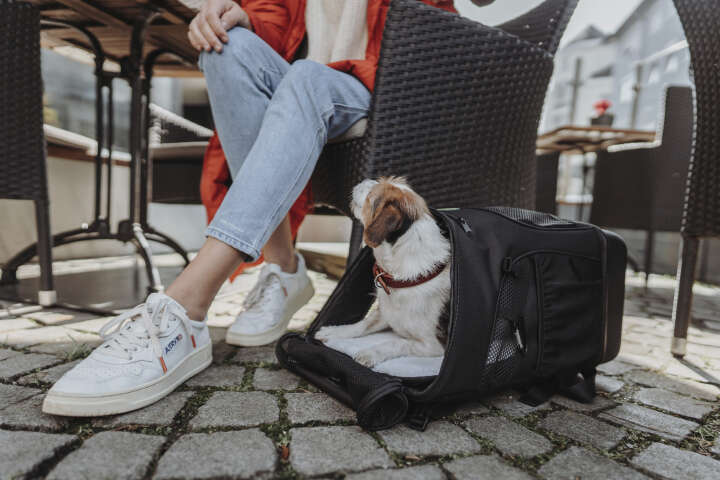 HUNTER Rucksack Miles für Hunde